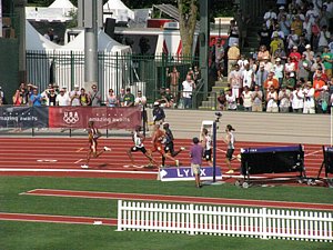 IMG_0984.JPG