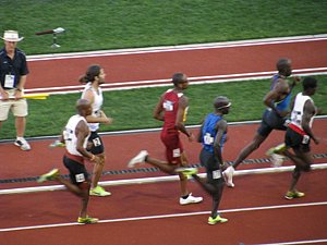 IMG_1103.JPG