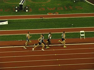 IMG_1129.JPG