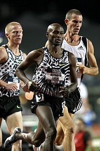 Lagat-Dobson_Tegenkamp_USOlyT08.Jpg