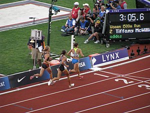 IMG_1140.JPG