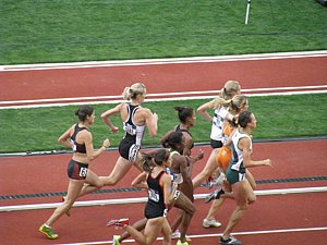 IMG_1153.JPG