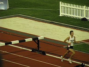 IMG_1186.JPG