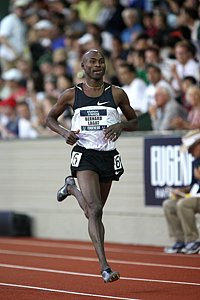 Lagat_BernardQ-Pre-USOlyT08.JPG