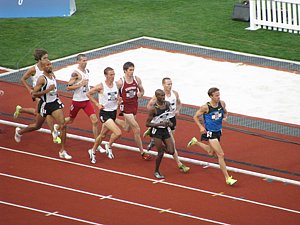 IMG_1205.JPG