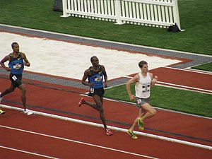 IMG_1219.JPG