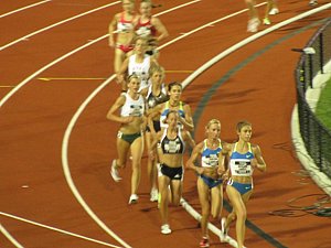 IMG_1241.JPG