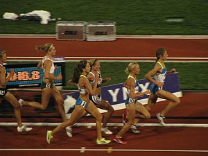 IMG_1250.JPG