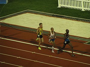 IMG_1264.JPG