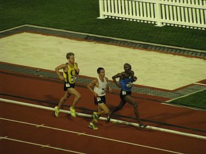 IMG_1272.JPG