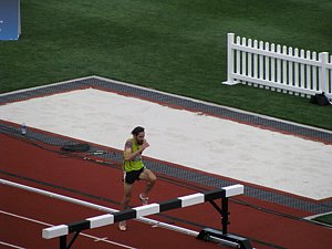 IMG_0011.JPG