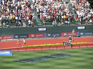 IMG_0063.JPG