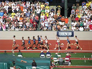IMG_0103.JPG
