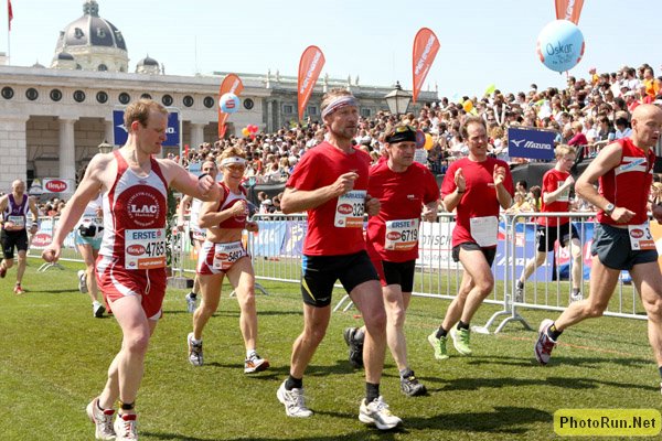FootballGrassFinish-Vienna08.JPG