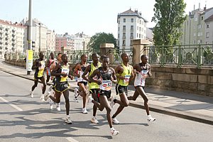 MenLedDanube-Vienna08.JPG