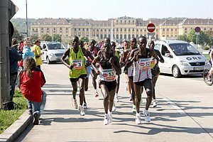 MenLedSchonbrunn-Vienna08.JPG