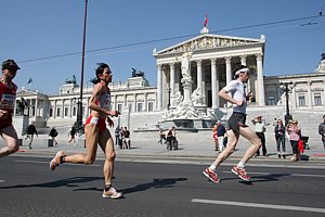Parliament-Vienna08.JPG