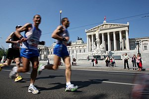 Parliament1-Vienna08.JPG