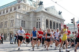 ViennaOperaHouse-Vienna08.JPG
