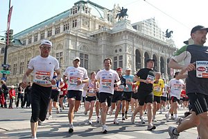 ViennaOperaHouse1-Vienna08.JPG