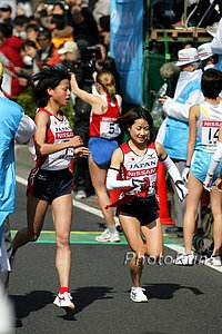 Sash Exchange.jpg