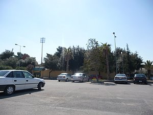 P1010285.JPG