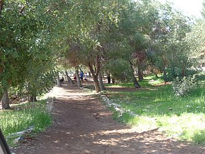 P1010288.JPG