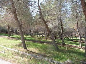 P1010289.JPG