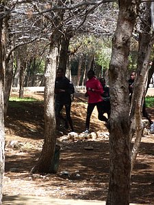 P1010300.JPG