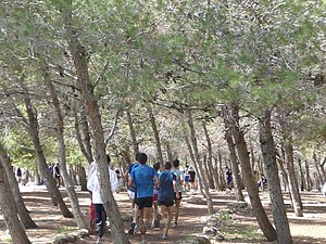 P1010312.JPG