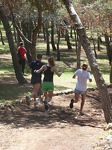 P1010339.JPG