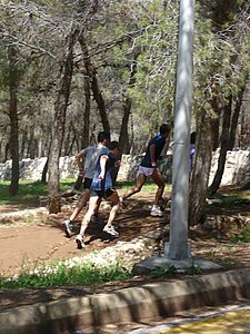 P1010343.JPG