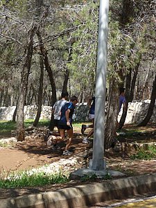 P1010344.JPG