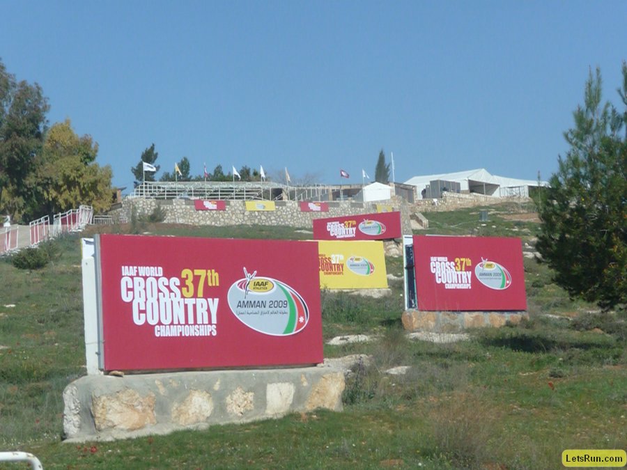 P1010381.JPG