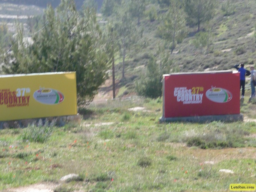 P1010393.JPG
