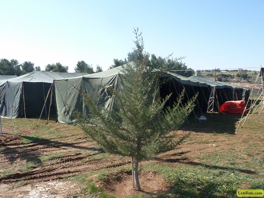 P1010397.JPG