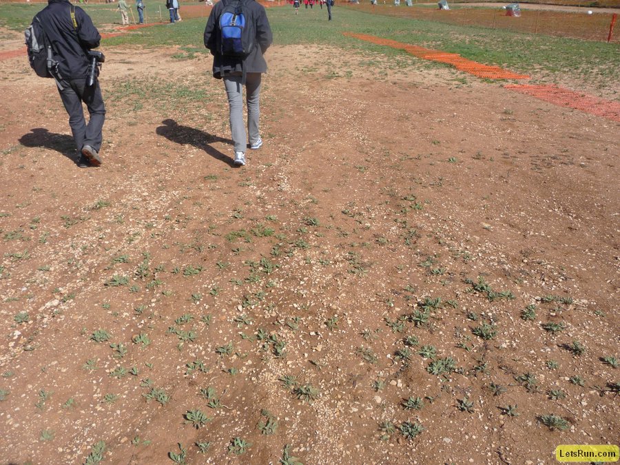 P1010411.JPG