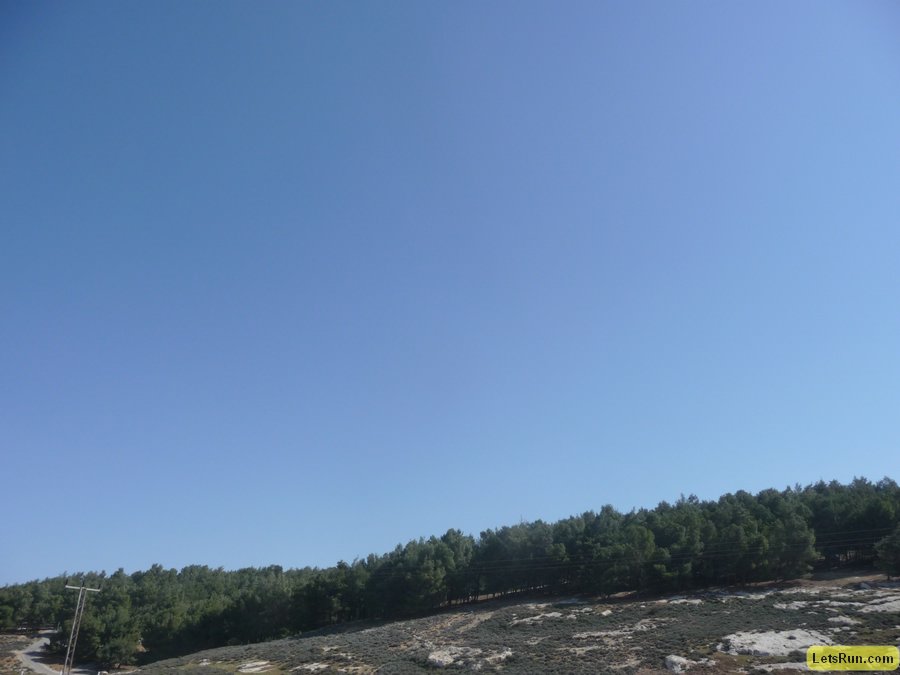 P1010437.JPG