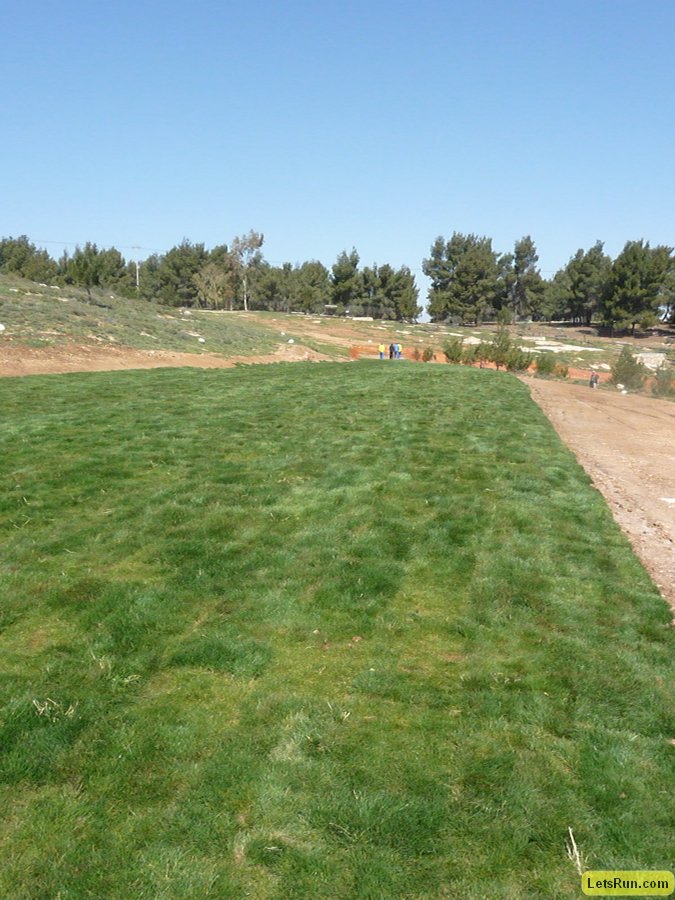 P1010475.JPG