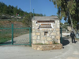 P1010376.JPG