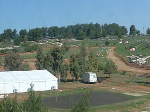 P1010377.JPG