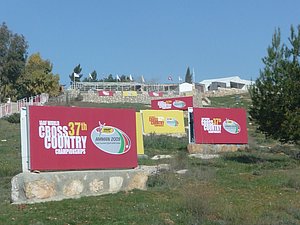 P1010380.JPG