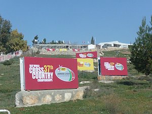 P1010381.JPG