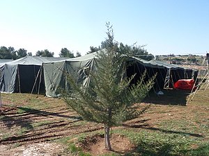 P1010397.JPG