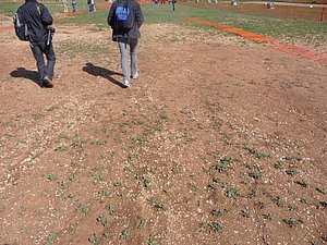 P1010411.JPG
