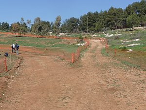 P1010413.JPG