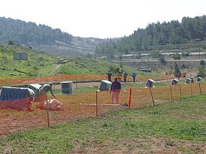 P1010415.JPG