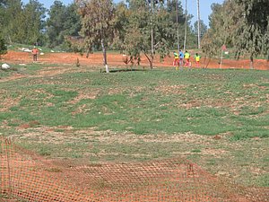 P1010418.JPG