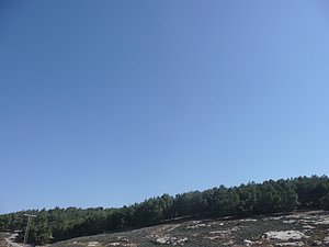 P1010437.JPG