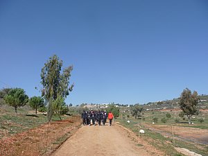 P1010438.JPG